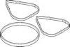 ELRING 008.170 Gasket Set, intake manifold